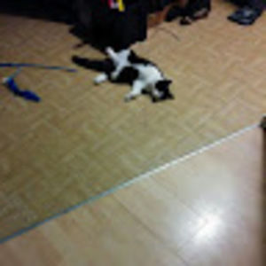 Meet your Posher, Még